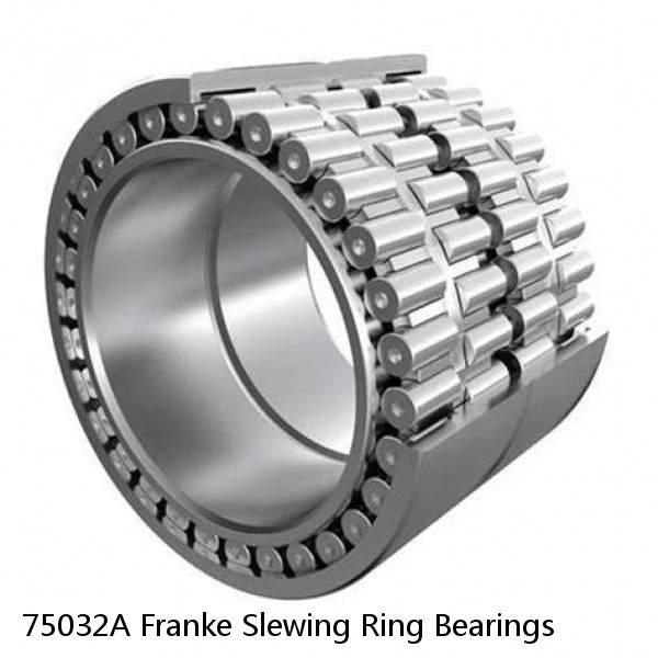75032A Franke Slewing Ring Bearings