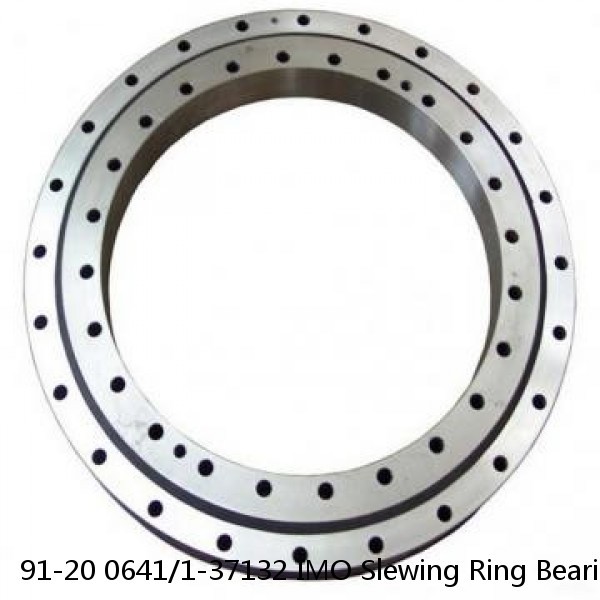 91-20 0641/1-37132 IMO Slewing Ring Bearings