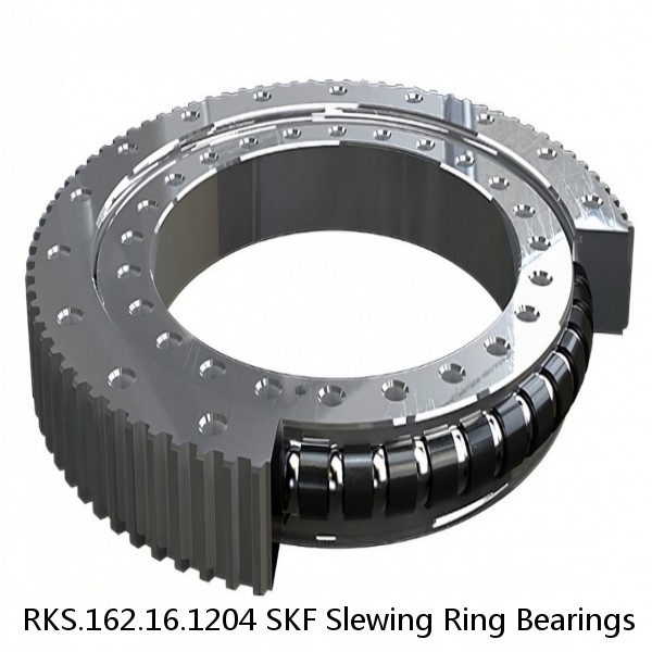 RKS.162.16.1204 SKF Slewing Ring Bearings