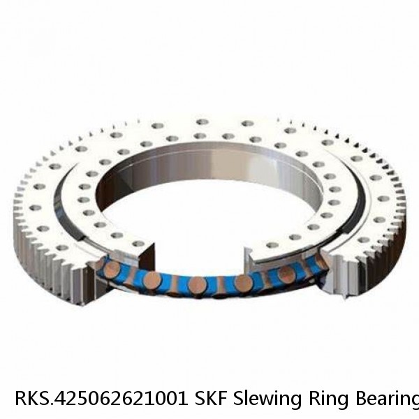 RKS.425062621001 SKF Slewing Ring Bearings