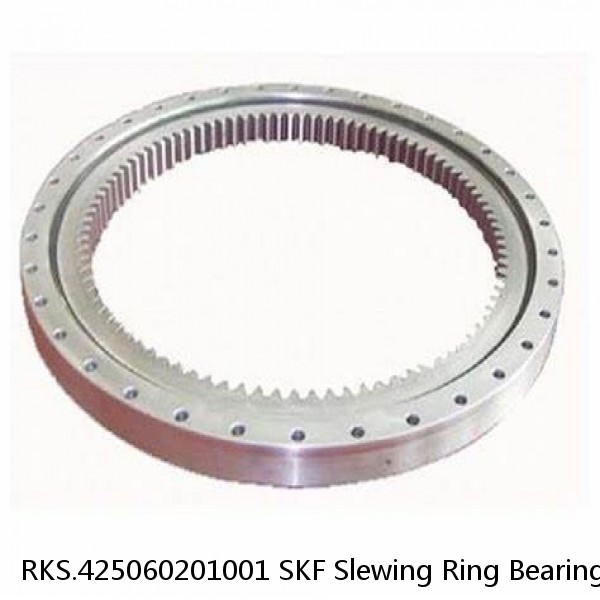 RKS.425060201001 SKF Slewing Ring Bearings