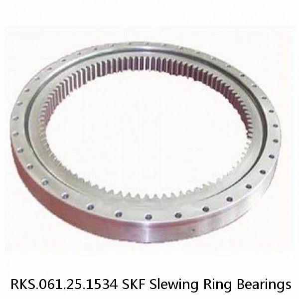 RKS.061.25.1534 SKF Slewing Ring Bearings