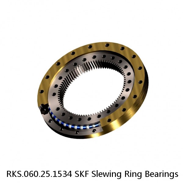 RKS.060.25.1534 SKF Slewing Ring Bearings