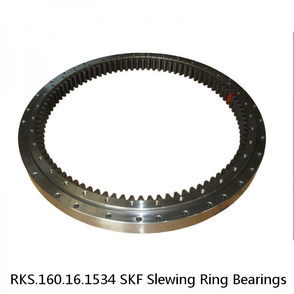 RKS.160.16.1534 SKF Slewing Ring Bearings