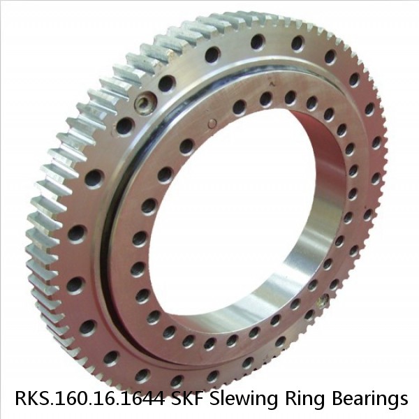 RKS.160.16.1644 SKF Slewing Ring Bearings