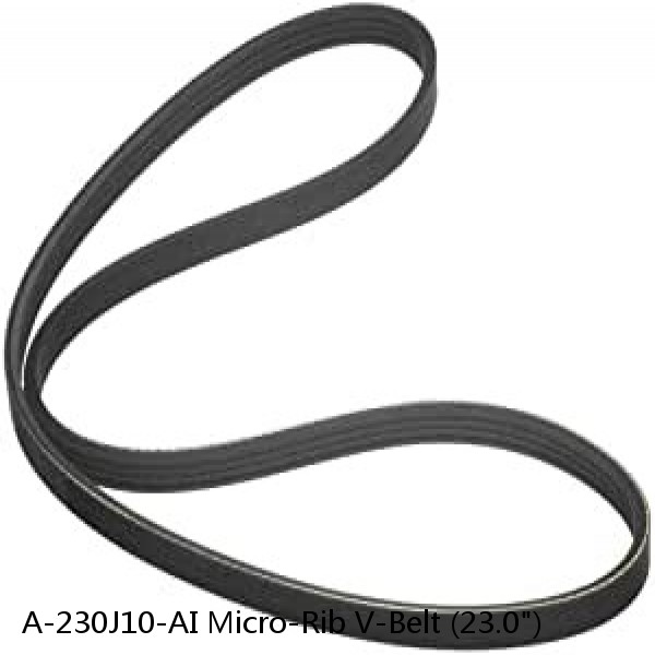 A-230J10-AI Micro-Rib V-Belt (23.0")